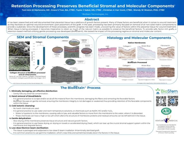 Retention Processing Preserves Beneficial Stromal and Molecular Components